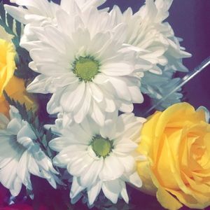 Meet your Posher, Diana